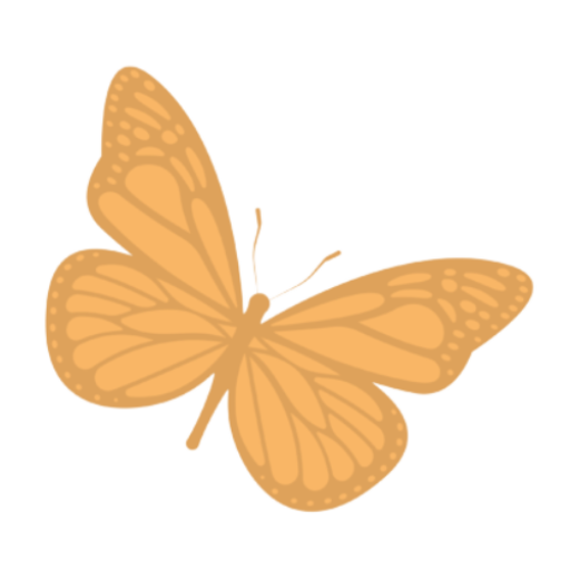 Papillon orange avec motifs détaillés sur ses ailes.