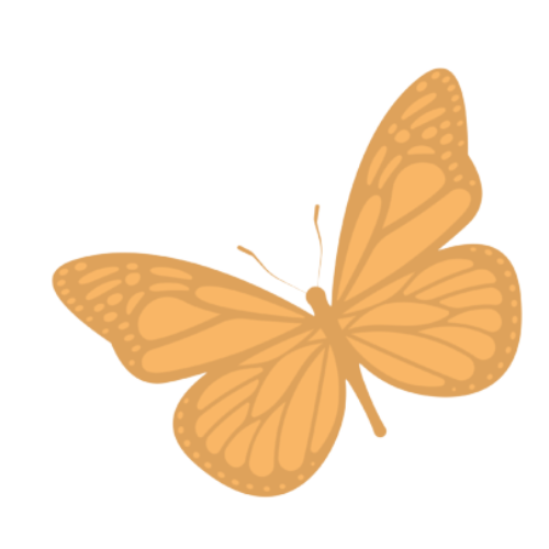 Illustration d'un papillon orange aux ailes ouvertes avec motifs de lignes et points.