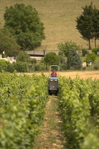 Personne sur un tracteur dans un vignoble, entouré d'arbres et de paysages ruraux.